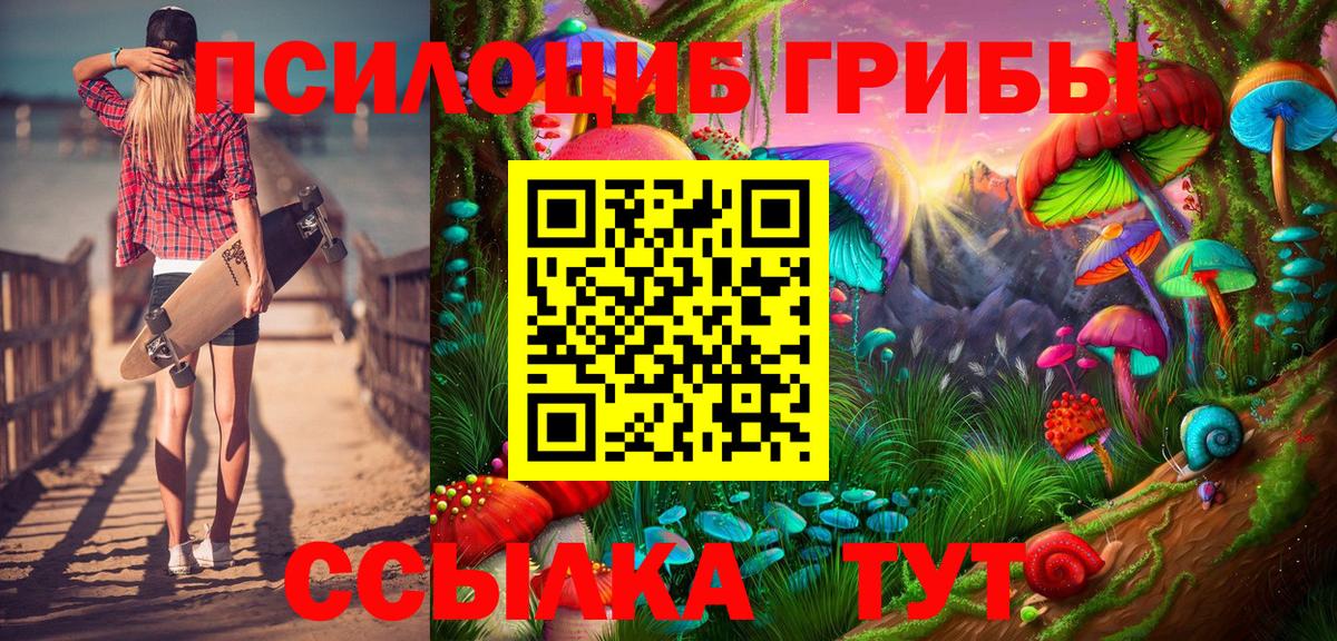 Обнинск  где купить наркоту  Галлюциногенные грибы мухоморы  Вход с VPN  Псилоцибиновые грибы Psilocybe 