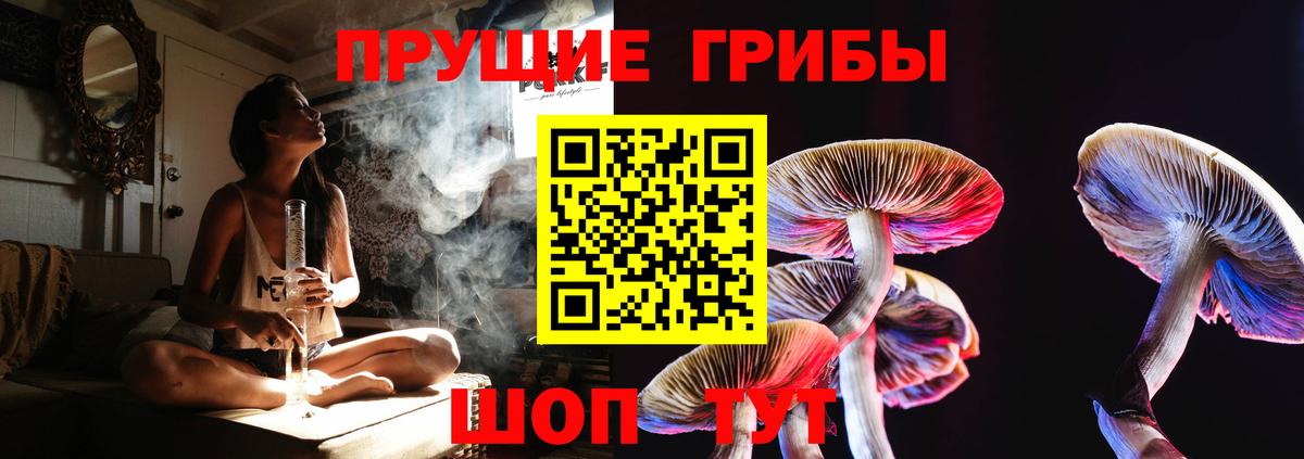 Галлюциногенные грибы мицелий Обнинск